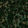 035.gif