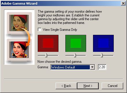 При использовании Adobe Gamma, выберите опцию, которая позволяет корректировать индивидуально гамму для красного, синего, и зеленого.